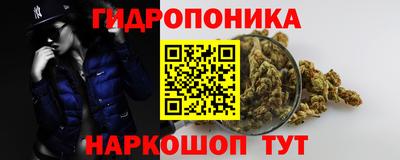 винт Дубна