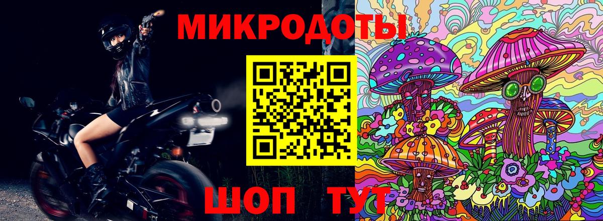 Псилоцибиновые грибы мицелий Кызыл