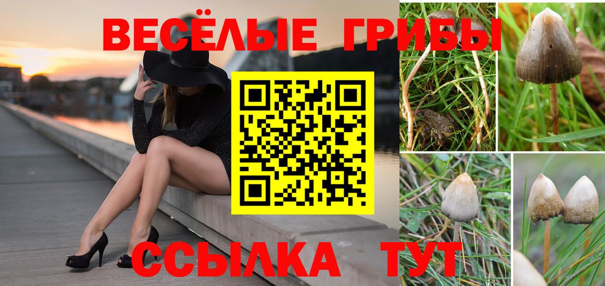 Псилоцибиновые грибы Magic Shrooms  Вход с VPN  Кызыл 